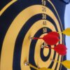 premium-17-inch-magnetic-dart-board-set-edufunbd